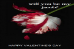 Will You Be My Jacob? by Shannon