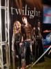 Comic-Con_2008_1.jpg
