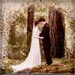 Tonner Edward Wedding Doll from 'Breaking Dawn - Part 1' Now Available for Pre-Order