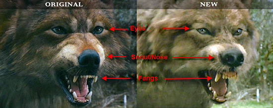 wolf-comparison