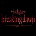 Live Coverage from the Premiere of 'The Twilight Saga: Breaking Dawn - Part 1'
